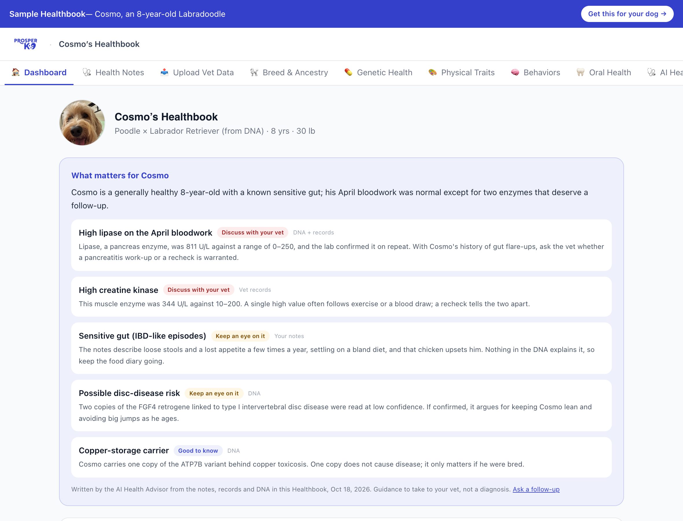 Cosmo’s sample Healthbook dashboard: photo, breed from DNA, what matters this month, and a one-page summary to share with the vet